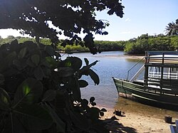 Lagoa,ilha e vegetação da Barra de Jequiá